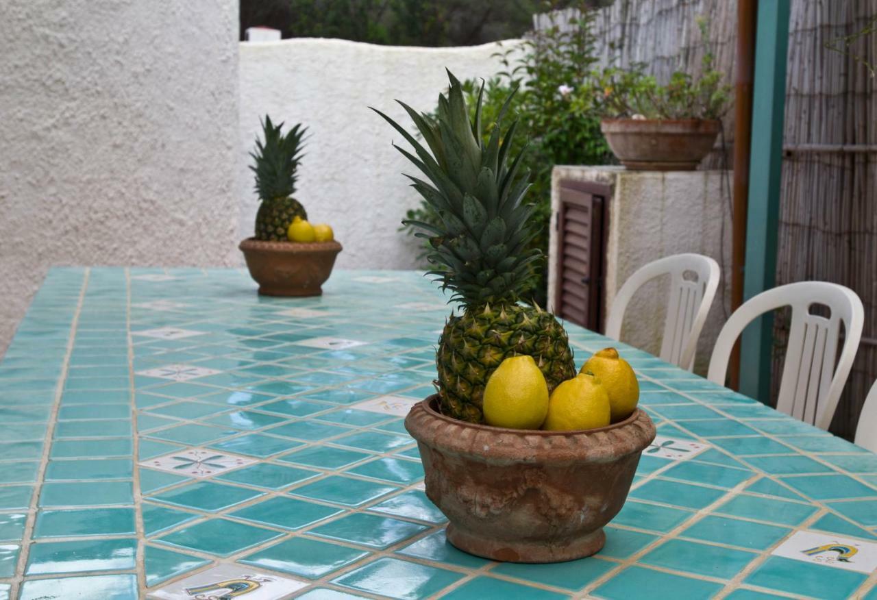 Jungle House - Pineta Is Morus Villa Santa Margherita di Pula Bagian luar foto